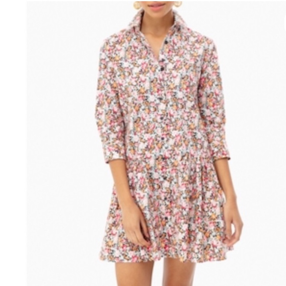 The Shirt by Rochelle Behrens The Drop Waist Shirt Dress Floral